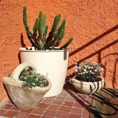 Cheap Holidays לינה וארוחת בוקר 3*